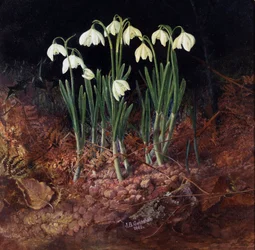 Perce neige (perce-neige). Malarstwo Johna Atkinsona Grimshawa (1836-1893)