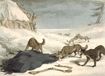 Polowanie na wilka, tablica 74 z tomu III „Maniery, obyczaje i zabawy Rosjan”, rytowana przez artystę, wyd. 1804 (akwatinta)