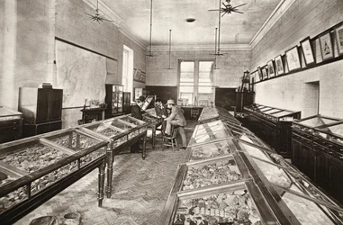 Muzeum, szkoła Camborne Mining, ilustracja z „Kopalnie i górnicy Mongst, czyli sceny podziemne autorstwa Flash-Light” J.C. Burrowsa i Williama Thomasa, pub. 1893 (zdjęcie w sepii)