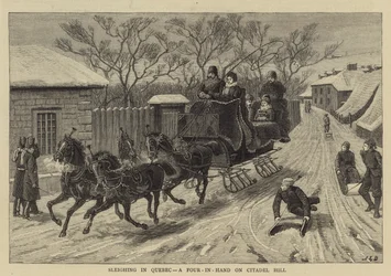 Sanie w Quebecu, czwórka na Wzgórzu Cytadeli