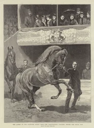 Królowa na Islington Horse Show, zwycięzcy paradują przed Royal Box