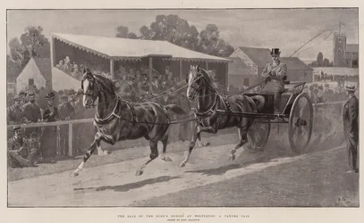 Sprzedaż koni królewskich w Wolferton, para tandemowa