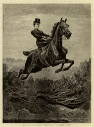 Skok do wody, szkic na wystawie koni