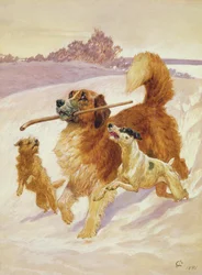 Trzy psy bawiące się na śniegu, 1881