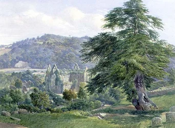 Opactwo Tintern z Wye Beyond (akwarela)