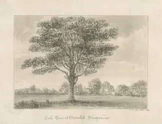 Boscobel - The Royal Oak : rysunek w sepii, 1820
