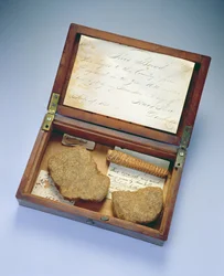 Pudełko na relikwie, z Dorchester, Massachusetts, 1835 (mahoń i brzoza)
