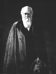 Karol Darwin 1809-1882, 1883, 1912