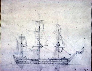 Man-o-war (grafit na papierze)