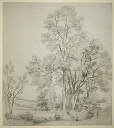 Stoisko Wiązów (recto); Studium East Bergholt z Kościołem (odw.)