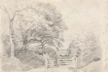 Drewno Coombe