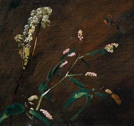 Studia kwiatowe: Persicaria i Meadowsweet (olej na płótnie ułożony na desce)