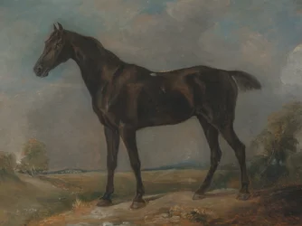Czarny koń wierzchowy Goldinga Constable