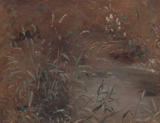 Sitowie przy basenie, ca. 1821.