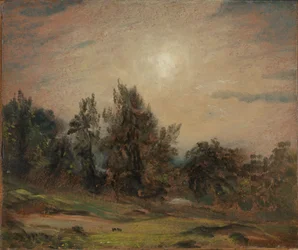 Drzewa na Hampstead Heath
