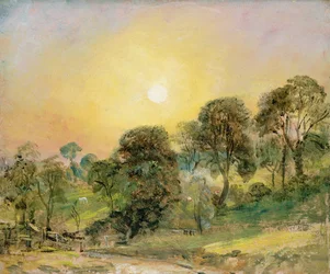 Drzewa na Hampstead Heath o zachodzie słońca