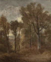 Scena leśna z widokiem na Dedham Vale, c.1802-03