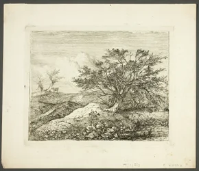 W Bawburgh