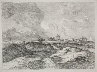 Wrzosowisko Myszy, ok. 1930 r. 1810-13.