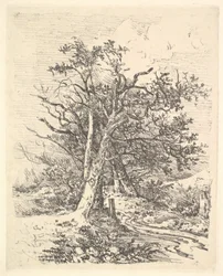 Pnie drzew i aleja, 1811-13.