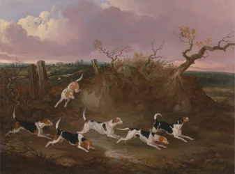 Beagles em Crypolish completo
