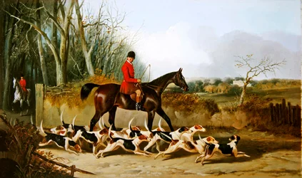 Croxteth Harriers, tył Stanfield (olej na płótnie)