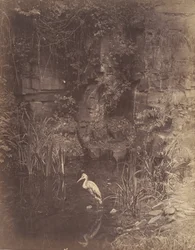 Rybak, nie. 2, 1856.