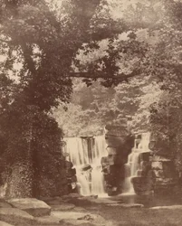 Górny wodospad, Penllergare Valley Woods, ok. 1852 (zdjęcie)