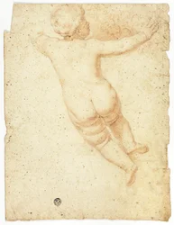 Putto od tyłu