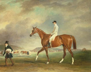 Koń wyścigowy z kasztanowca Cur z dżokejem na Newmarket Heath