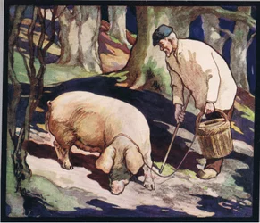 Świnia szukająca trufli, ilustracja z „Pomocnicy bez rąk” Gladys Davidson, wydanej w 1919 r. (kolor litho)