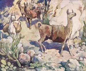 Alpaki na górskiej ścieżce, ilustracja z „Pomocnicy bez rąk” Gladys Davidson, wydanej w 1919 r. (kolor litho)