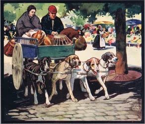 Francuski wózek dla psa, ilustracja z „Pomocnicy bez rąk” Gladys Davidson, wydanej w 1919 r. (kolor litho)