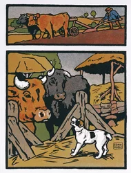 Ilustracja do filmu Pies i krowa z „Bajek” Jeana de La Fontaine (1621-95) (kolor grawerowany)