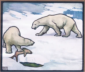 Niedźwiedź polarny