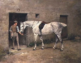 Dapple Grey i Stabilny chłopak