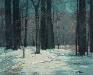 Lasy w zimie, ca. 1912.