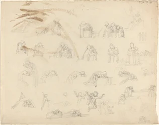 Arkusz studiów