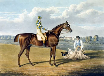 „Boso”, zwycięzca St Leger, grawerowane przez Thomasa Sutherlanda (1785-1838)