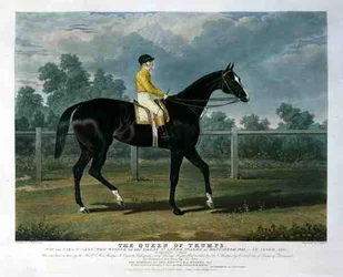 „Queen of Trumps”, Won the Oaks Stakes (zwycięzca Great St. Leger Stakes w Doncaster