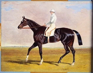 Lucetta” z J. Robinsonem Up, 1834
