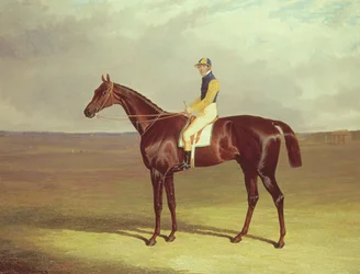Pan M. Stanleys kula na Newmarket Heath, 1833