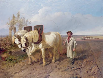 Zespół Harrowing
