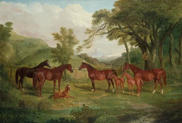 Stadnina w Streatlam, klacze i źrebięta, 1836