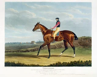 „Theodore”, zwycięzca Wielkiego St. Leger w Doncaster, 1822, ryty przez Thomasa Sutherlanda (b.c.1785), wyd. W. Sheardown und Son (akwatinta)