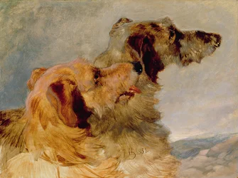 Dwa Deerhounds, 1851 (olej na papierze)
