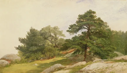 Badanie drzew na wybrzeżu Beverly Coast