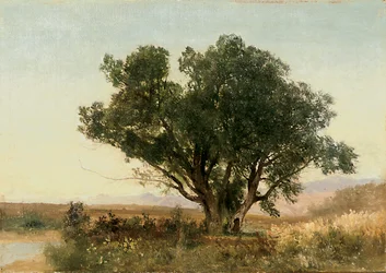 Front Range, Kolorado