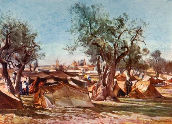 Obóz Beduinów za północnym murem Jerozolimy, 1902.