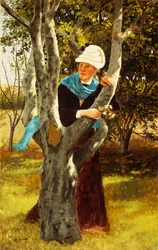 Wśród drzew